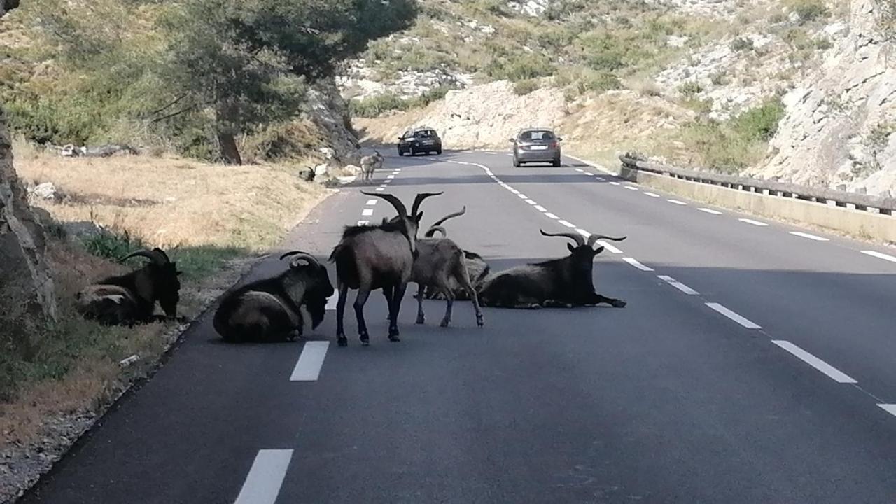 Chambre Chez L'Habitant - L'Estaque Marsilya Dış mekan fotoğraf
